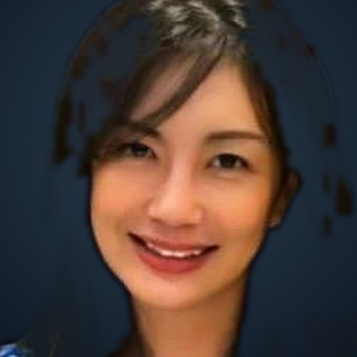Ai Lee Low — Director, S Triformix